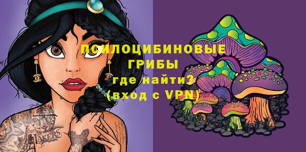 тгк Алзамай
