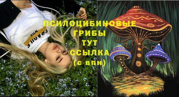 ALPHA-PVP Алексин